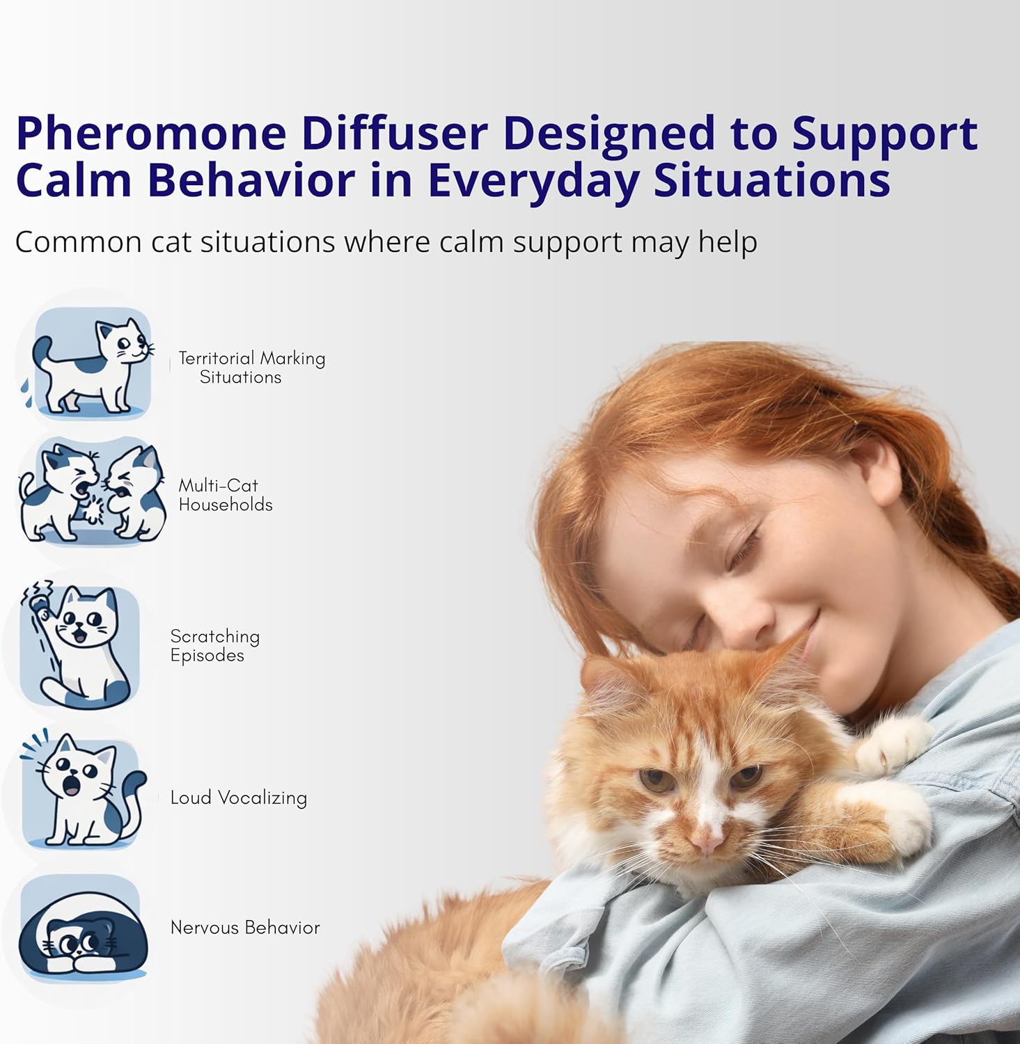Calm cat